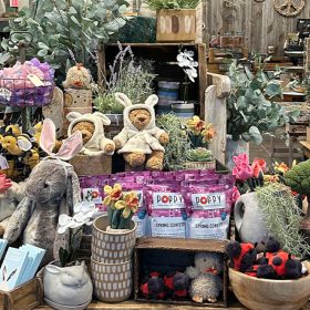 A wooden display within the Sugarboo & Co. store. The products on display are Teddy Bears in sweaters (with bunny ears) as well as various other plushies. Some of the plushies include ladybugs, rabbits, and flowers in pots. In addition to this, there are some actual plants.