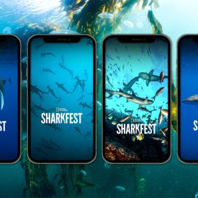 Four phone screens featuring shark-themed phone backgrounds float in front of an underwater background image of jellyfish and kelp. Each phone background includes a photo of sharks and the SharkFest National Geographic logo. A yellow circle in the upper right corner of the image says “FREE DOWNLOAD”.