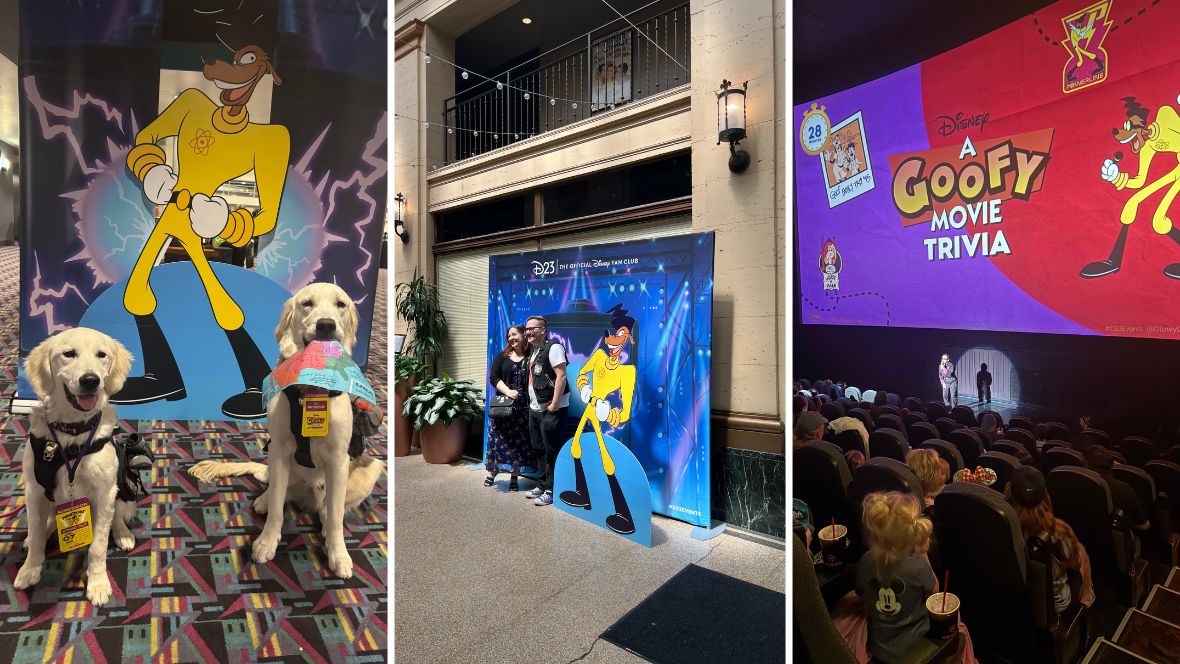  A triptych of images celebrating D23’s On the Road series. On the left, two golden retrievers pose in front of a Powerline photo op. Both are wearing yellow event credentials modeled as an in-world credential to a Powerline concert. The dog on the right holds a prop of Goofy’s map from the film in its mouth. In the middle image, D23 fans pose in front of a Powerline photo op. The fans are similarly dressed in black outfits—on the left, a woman in a black skirt, top, and matching purse; to her right, a man in black jeans and a vest. On the right, inside a theater, fans fill in seats during the pre-show—with a host onstage preparing for audience trivia. The screen behind them displays a bright slideshow image for A Goofy Movie Trivia, which includes in-universe clipart including Powerline, Max, and Goofy, on a bright red and purple background.