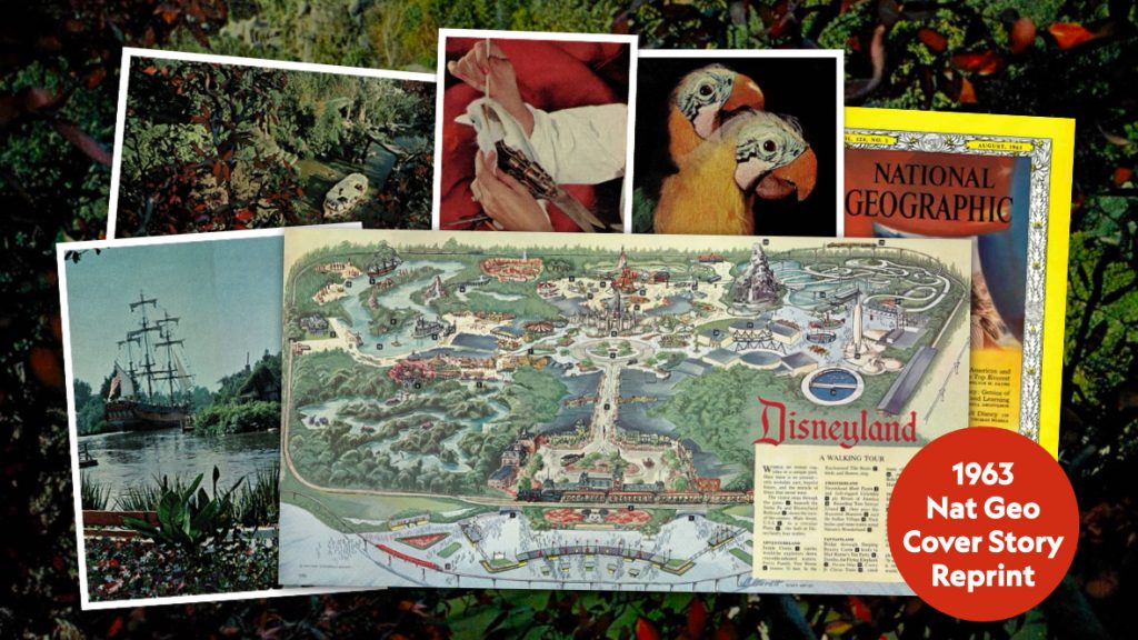 General Member Offer: Own a Piece of Disney History with a Nat Geo Subscription