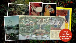 A collage of photos showcases the interior of the 1963 edition of National Geographic covering The Magical Worlds of Walt Disney. The photos include a couple of parrots from The Enchanted Tiki Room, an imagineer painting a mechanical bird, and the Mark Twain Riverboat sailing. Up front and center is a double page spread of a Walking Tour map of Disneyland. A small red circle with white text reads: 1963 Nat Geo Cover Story Reprint. Behind the map is the front cover of the issue.