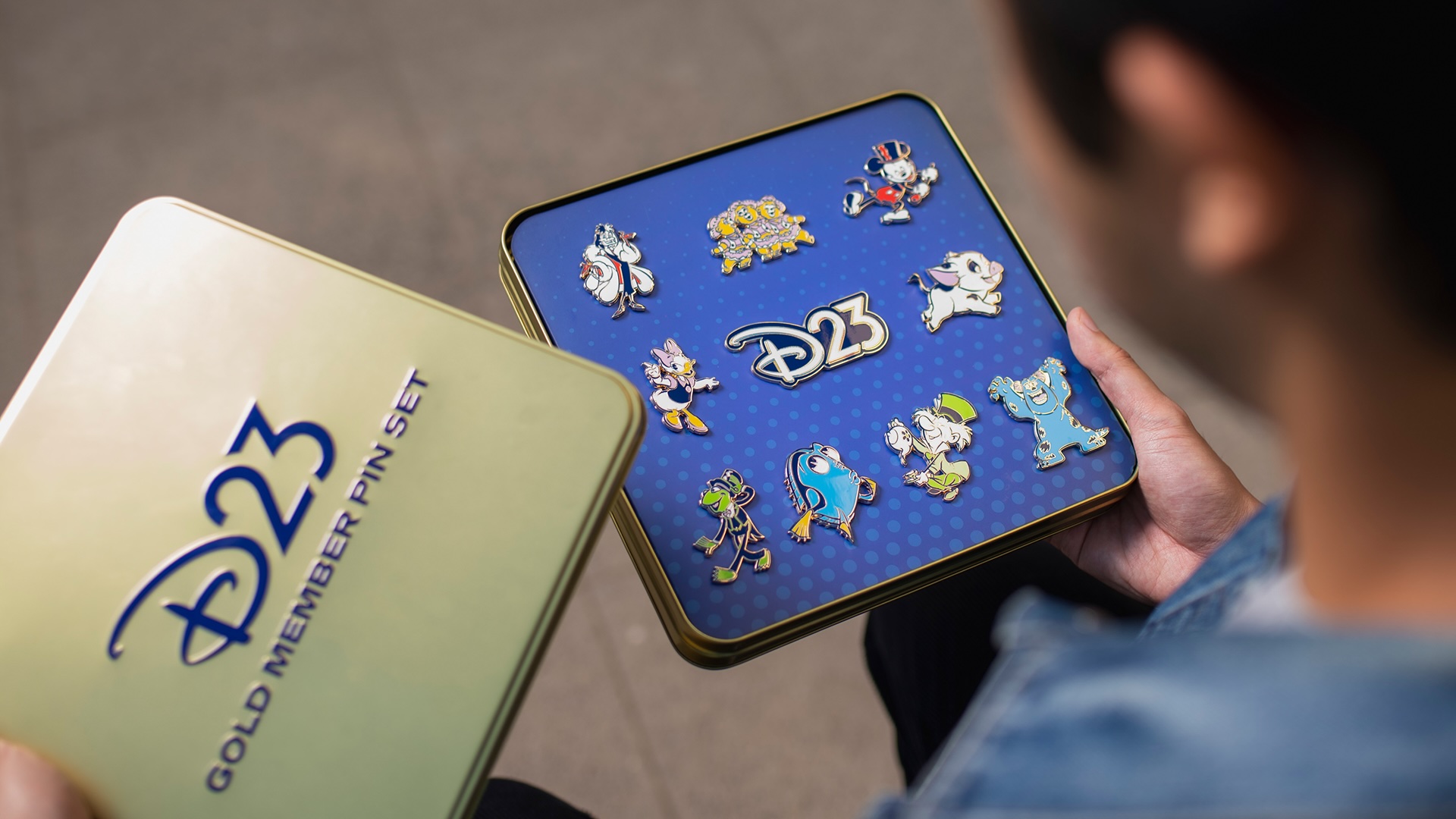 Pin Set - D23