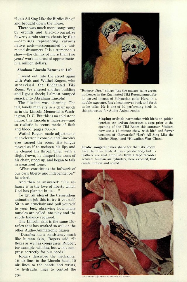 An excerpt from the reproduction of the 1963 National Geographic cover story “The Magic Worlds of Walt Disney,” available to D23 General and Gold Members if they purchase a subscription through the link on the D23 website. The images with the excerpt show several birds from the Enchanted Tiki Room attraction at Disneyland Park.