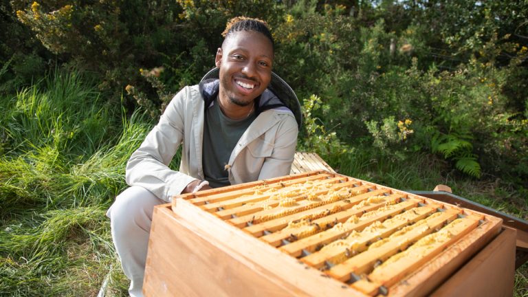 Exclusive Q&A—Dr. Samuel Ramsey Chats Nat Geo’s Secrets of the Bees - D23