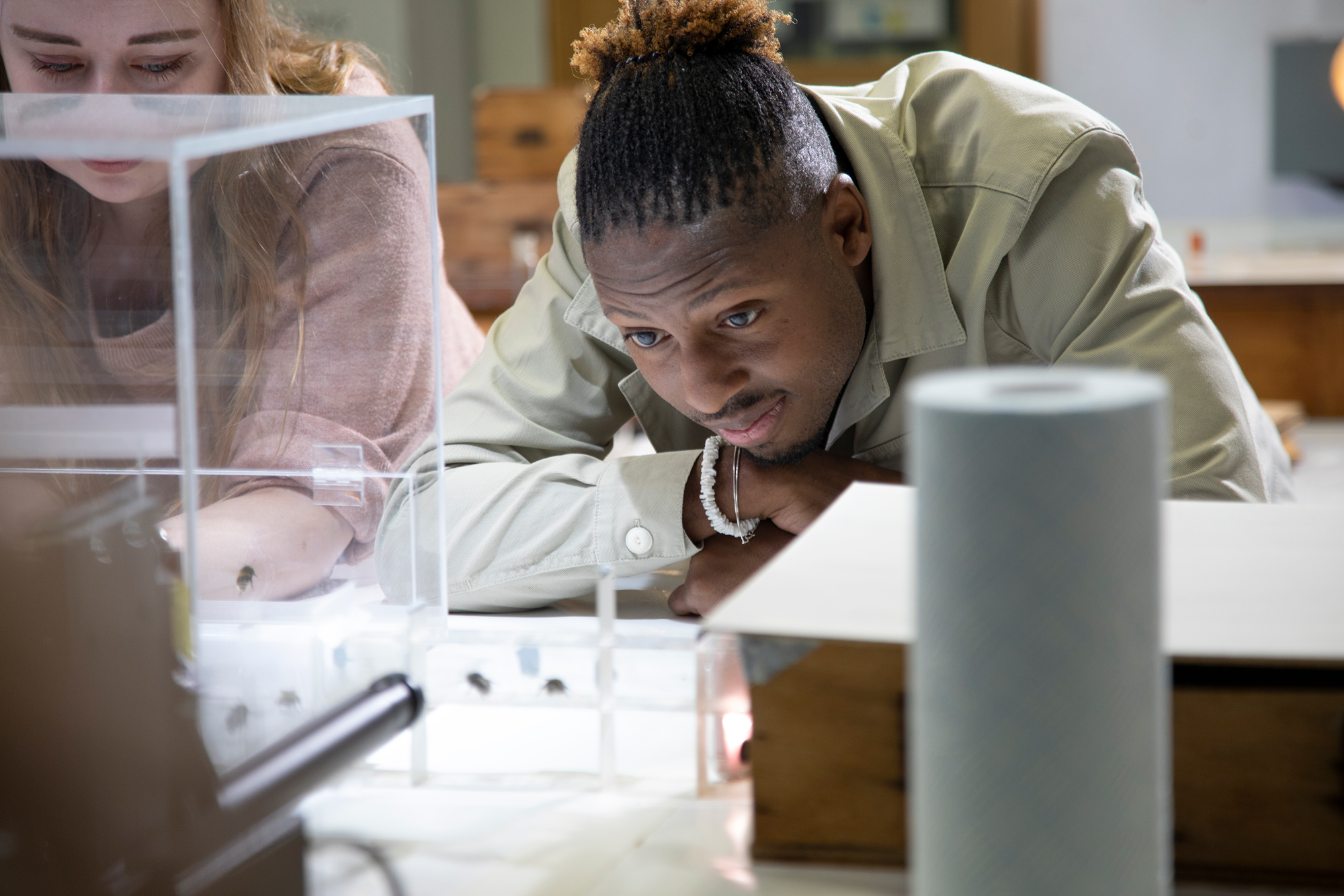 In an image from Nat Geo&rsquo;s Secrets of the Bees, Dr. Alice Bridges, left, and Dr. Sammy Ramsey, right, watch bumble bees interact with balls in a play experiment lab study at Queen Mary University of London.