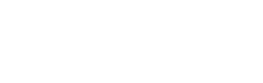 Visa Logo