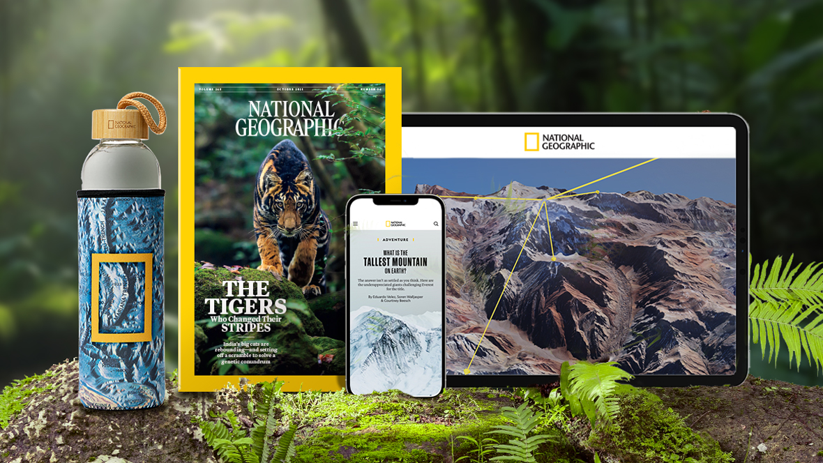 A collection of National Geographic items displayed on a mossy log in a green forest. The items include a National Geographic magazine with a tiger on the cover; a reusable water bottle featuring a nature design; a smartphone displaying information about the tallest mountain; and a tablet showing a National Geographic website with a mountain landscape and yellow lines overlay. Sunlight filters through the trees in the background.