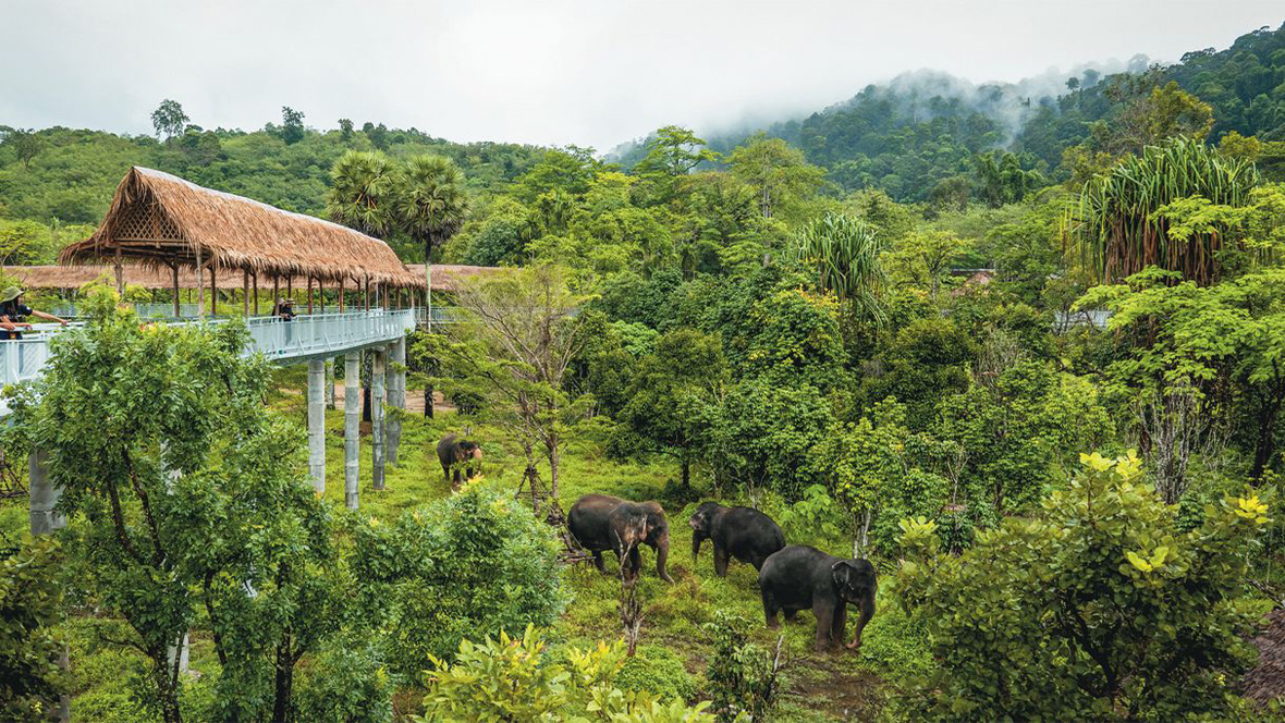 An image of the Phuket Elephant Sanctuary, part of the new Thailand itinerary with Adventures by Disney.