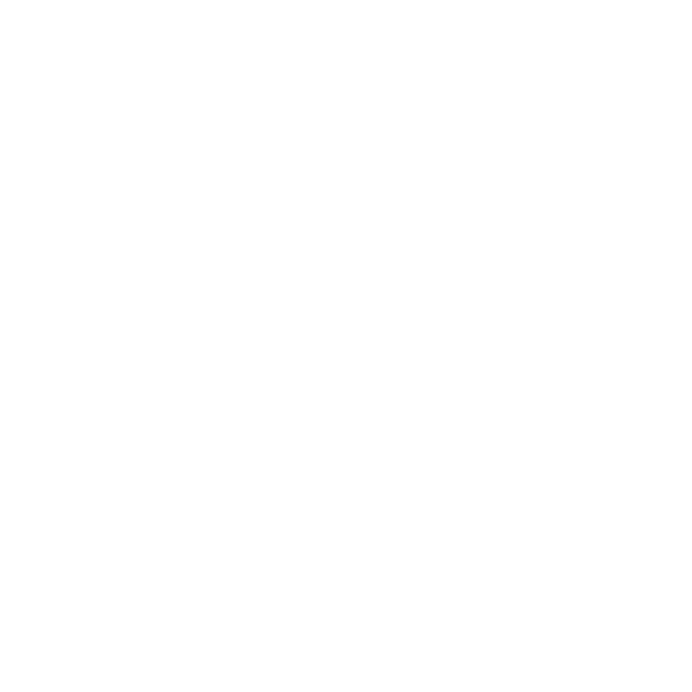 Shoe Palace