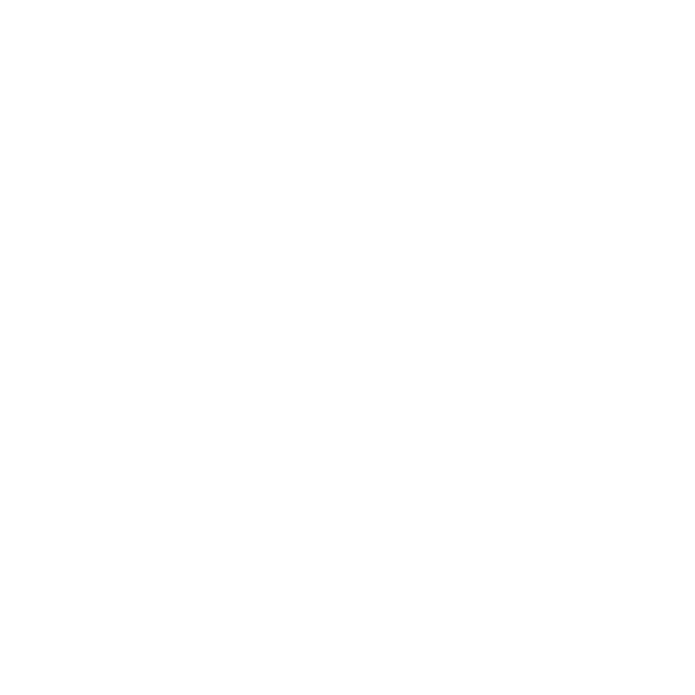 Spirit Jersey Logo