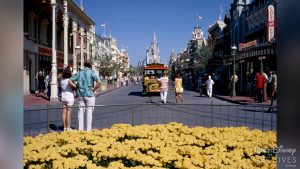 Photo taken from the middle of Town Square, a small hub at the entrance of Main Street, U.S.A., allowing for a straight view of nearby shops and Cinderella Castle. Small yellow flowers bloom in the foreground. Two guests stand with their backs to the camera and admire Cinderella Castle and the Main Street Trolley. Other guests mill about the street in the background.